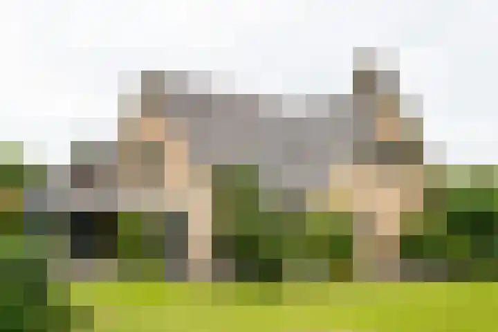Prinses Beatrixstraat 43 A Didam thumbnail 63
