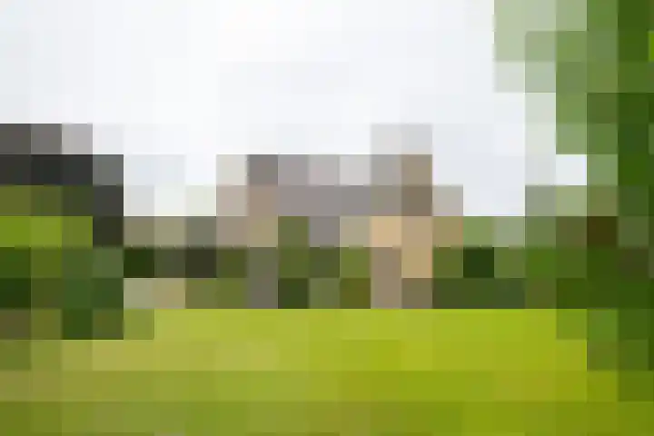 Prinses Beatrixstraat 43 A Didam thumbnail 64