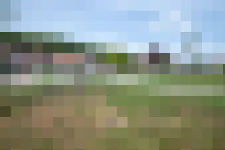 Prinses Beatrixstraat 43 Arkel thumbnail 22