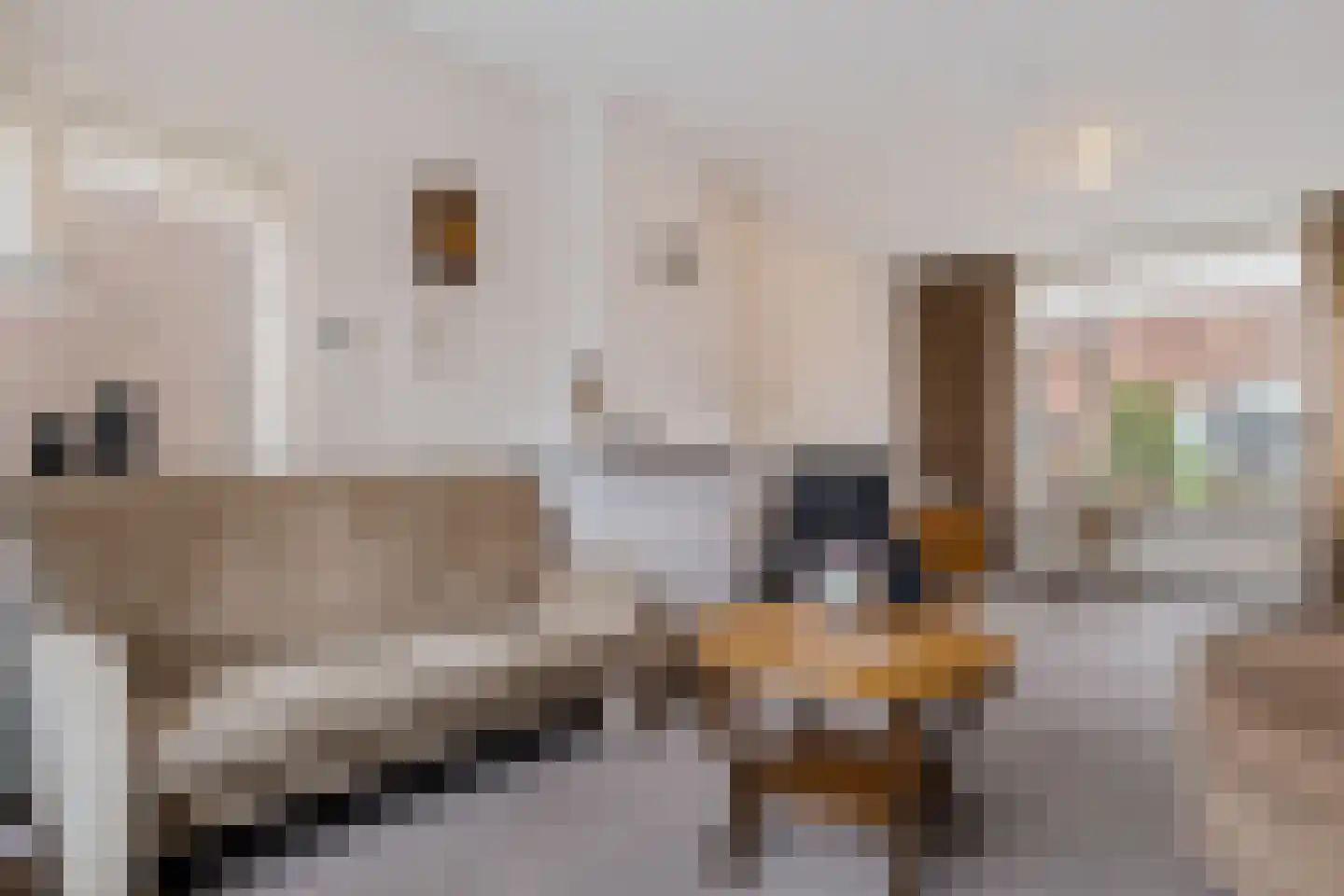 Prinses Beatrixstraat 45 Genemuiden thumbnail 11