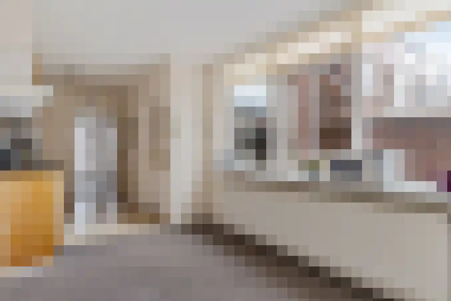 Prinses Beatrixstraat 45 Genemuiden thumbnail 17