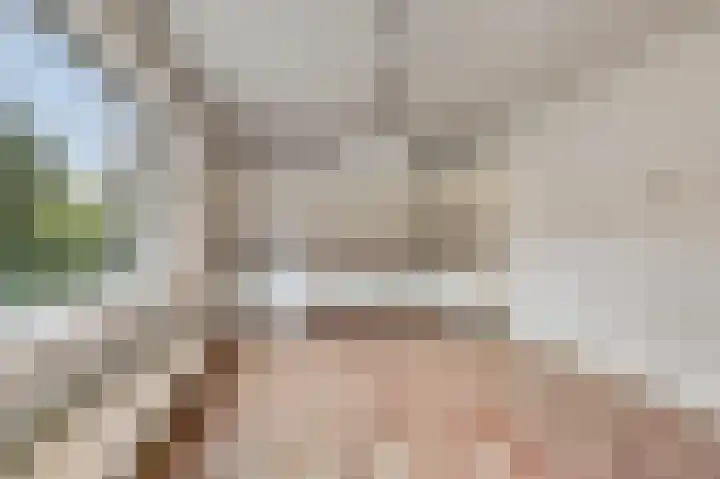 Prinses Beatrixstraat 47 Didam thumbnail 10