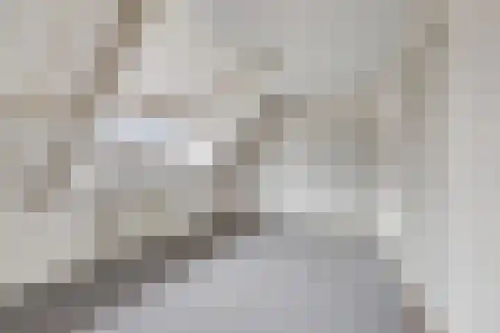 Prinses Beatrixstraat 47 Didam thumbnail 23