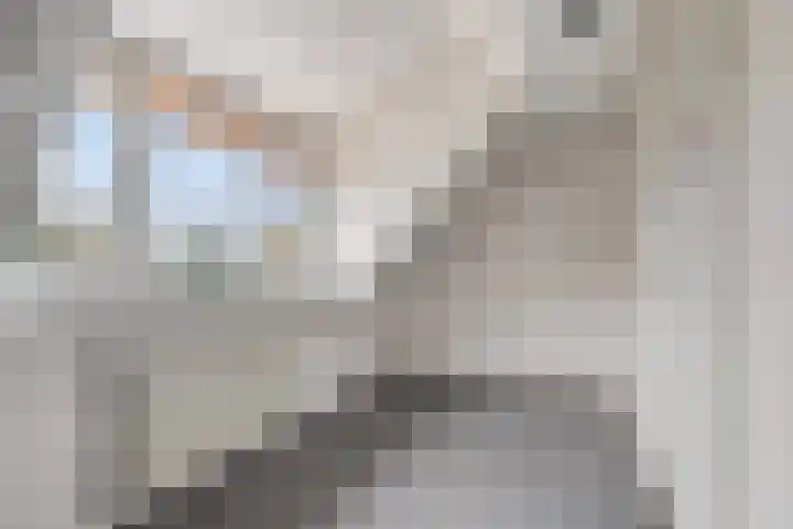 Prinses Beatrixstraat 47 Didam thumbnail 25