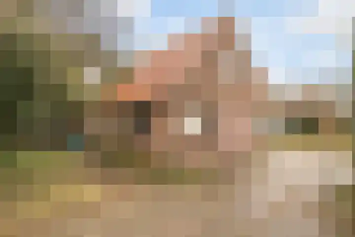 Prinses Beatrixstraat 47 Didam thumbnail 27