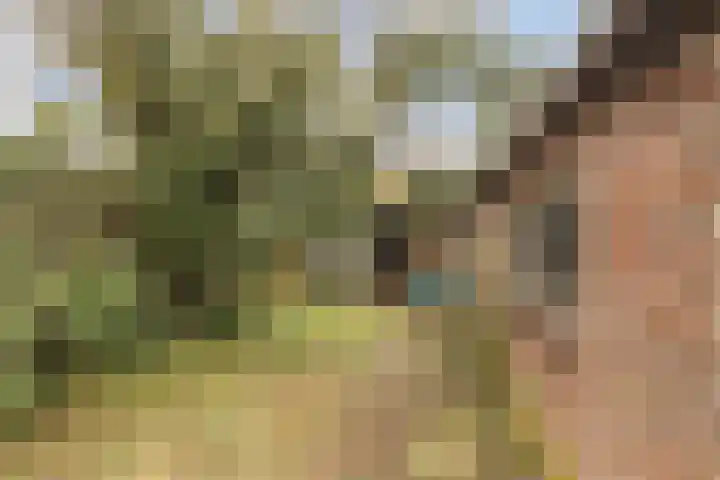 Prinses Beatrixstraat 47 Didam thumbnail 28