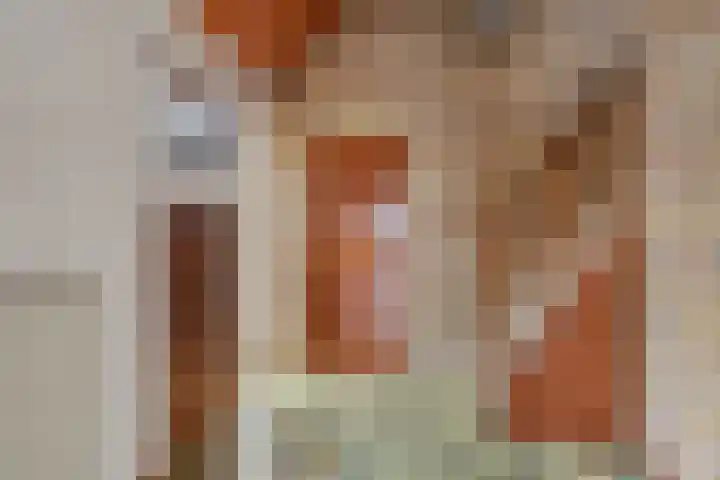 Prinses Beatrixstraat 47 Didam thumbnail 4