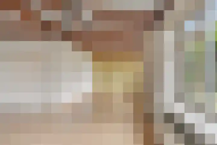 Prinses Beatrixstraat 47 Didam thumbnail 7