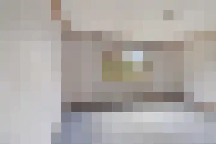 Prinses Beatrixstraat 47 Didam thumbnail 8