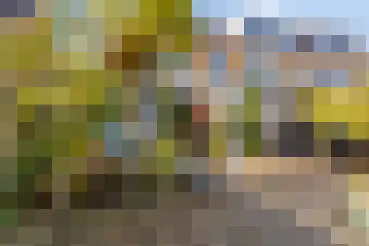 Prinses Beatrixstraat 5 Benthuizen thumbnail 27
