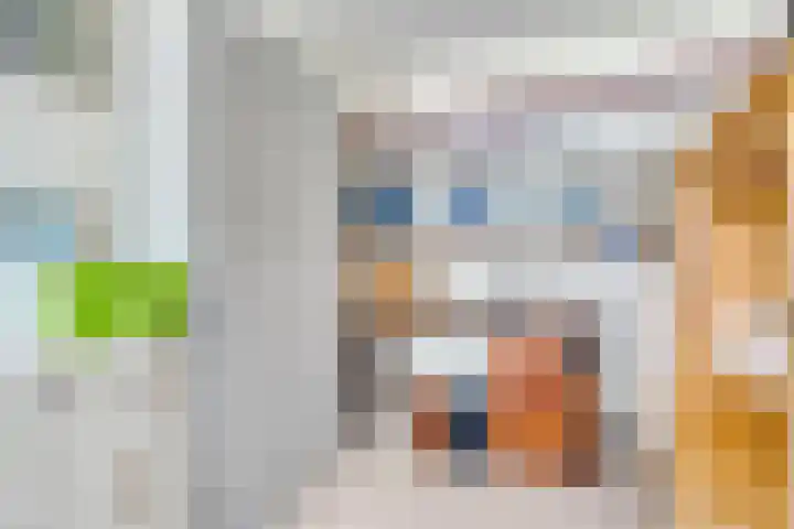 Prinses Beatrixstraat 51 Schoondijke thumbnail 6