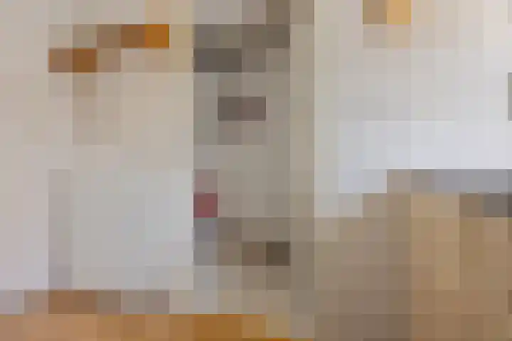 Prinses Beatrixstraat 53 Assen thumbnail 31