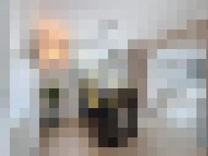 Prinses Beatrixstraat 58 Schoondijke thumbnail 12