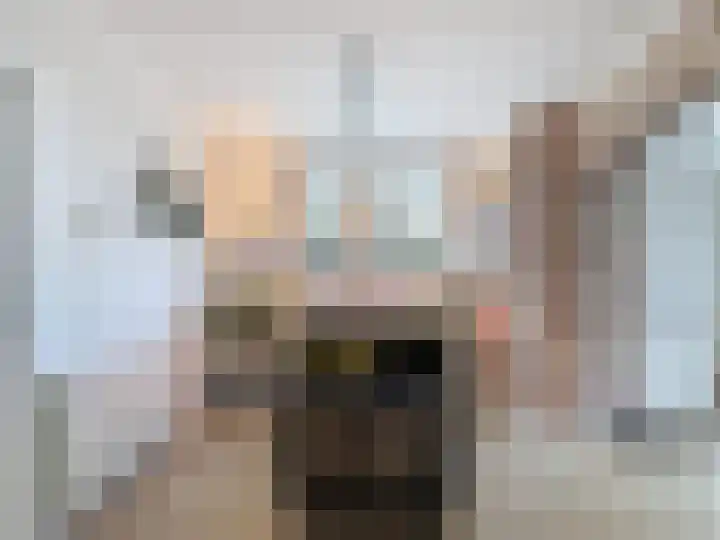 Prinses Beatrixstraat 58 Schoondijke thumbnail 13