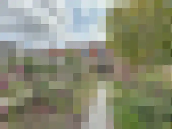 Prinses Beatrixstraat 58 Schoondijke thumbnail 43