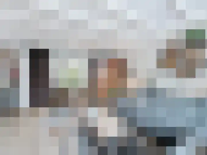 Prinses Beatrixstraat 58 Schoondijke thumbnail 8