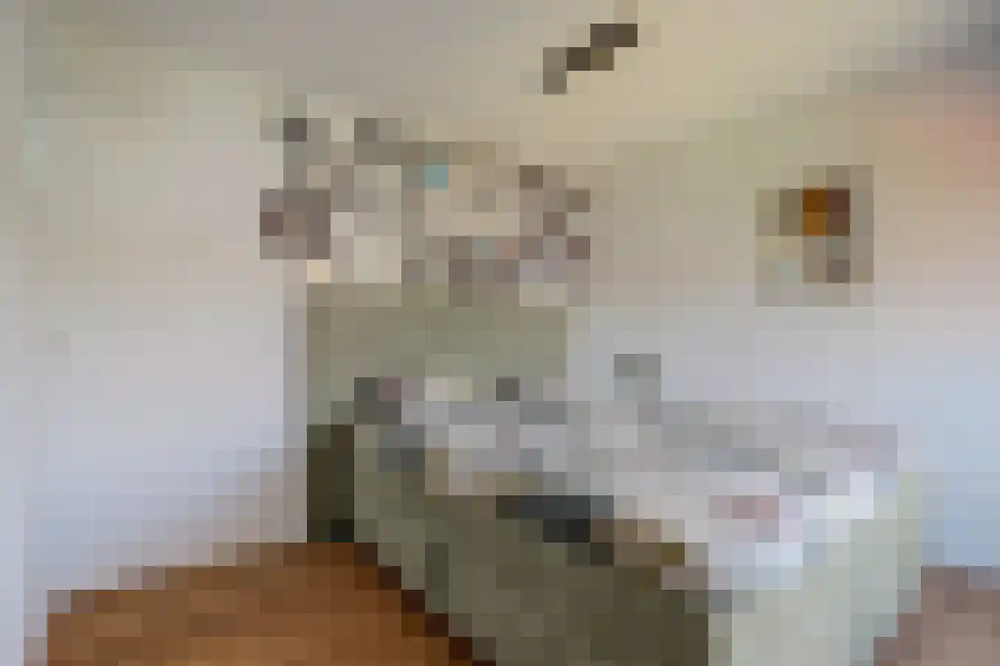 Prinses Beatrixstraat 6 Dongen thumbnail 17