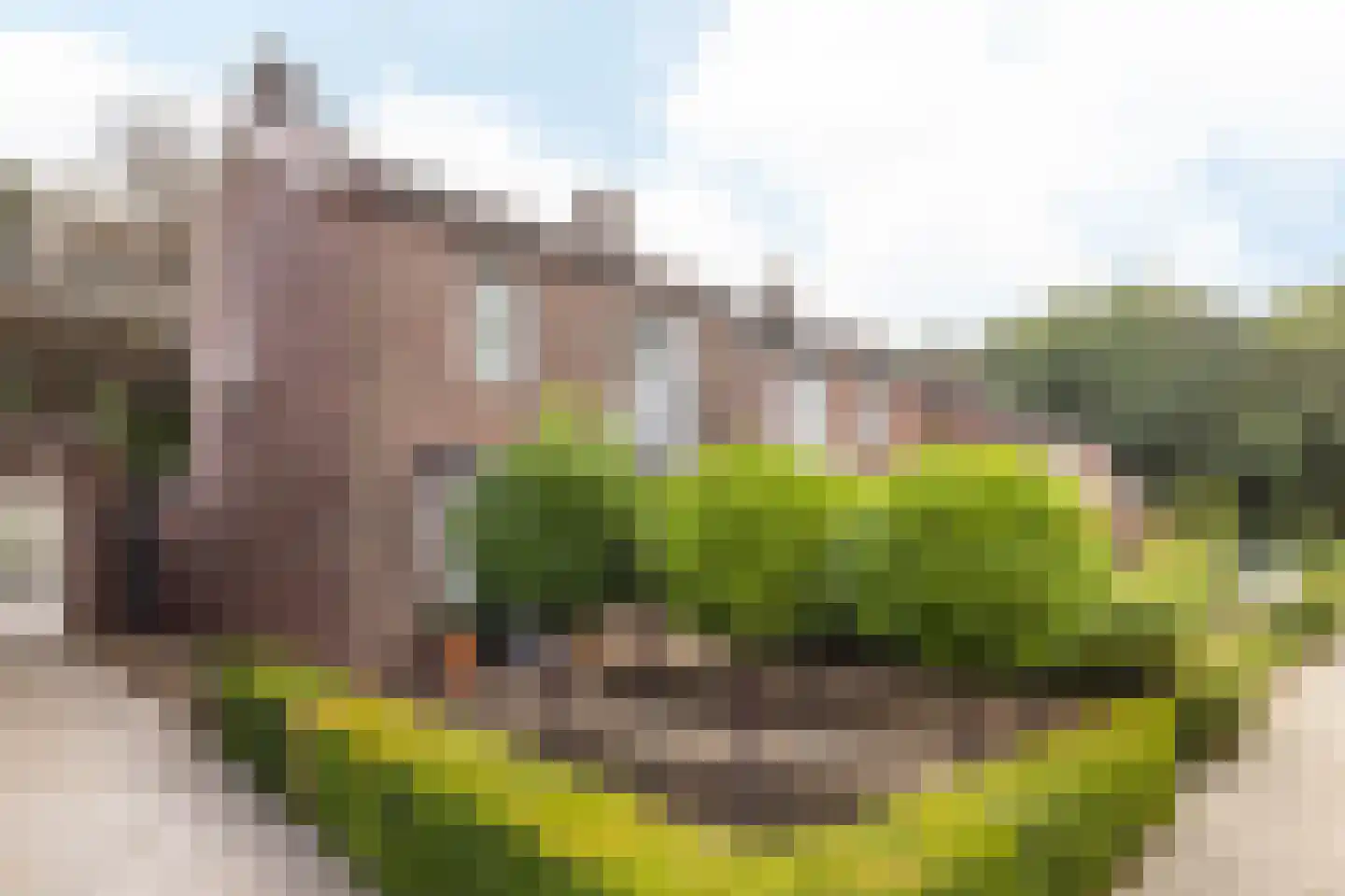Prinses Beatrixstraat 60 Brunssum foto 3