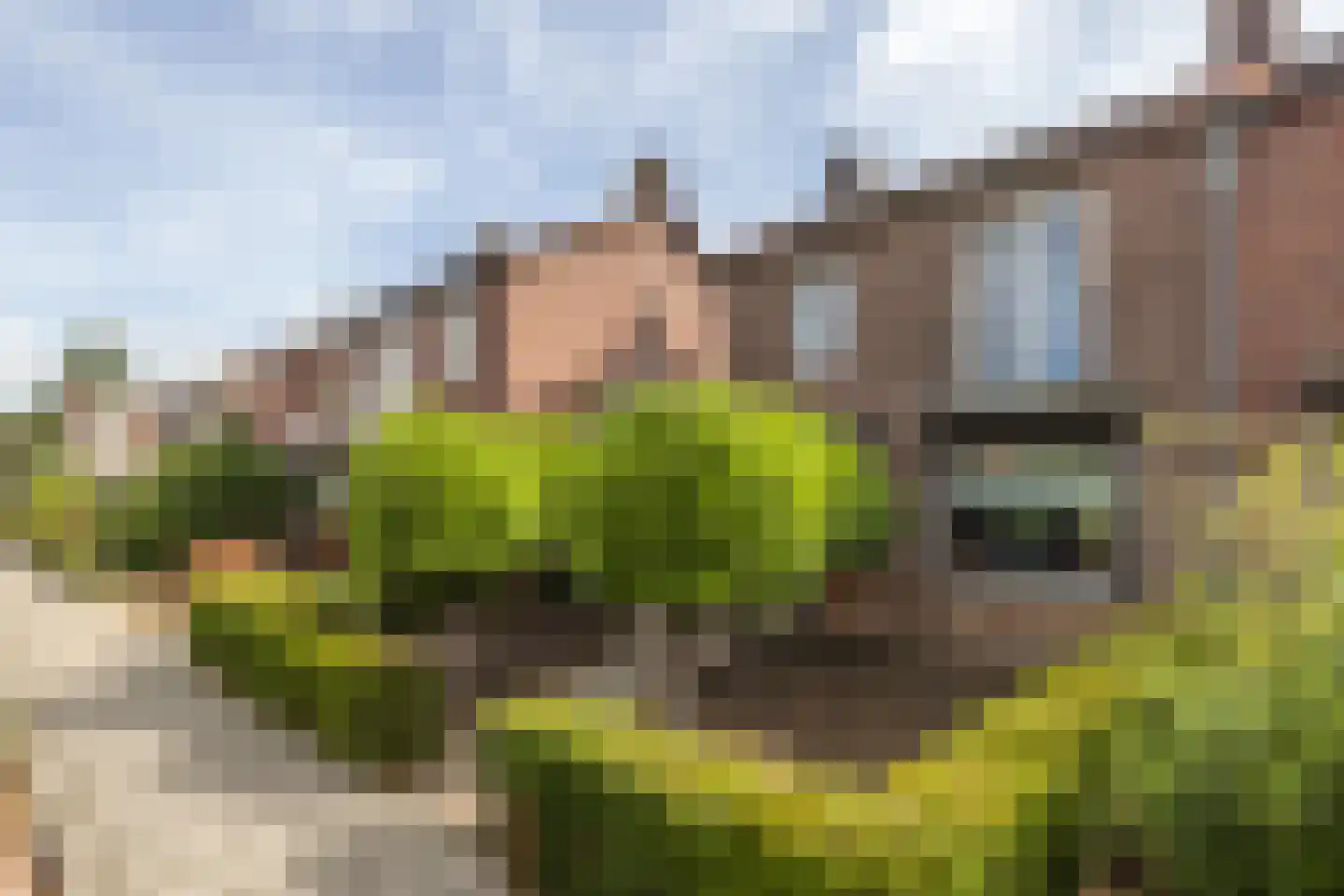 Prinses Beatrixstraat 60 Brunssum thumbnail 30