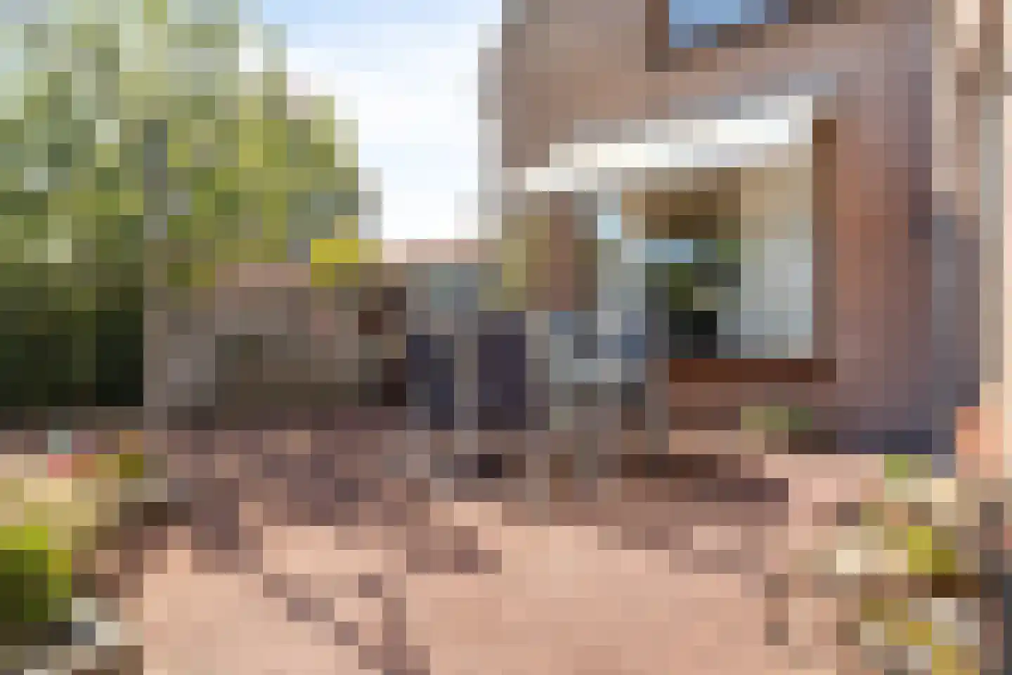 Prinses Beatrixstraat 61 Schoondijke thumbnail 27