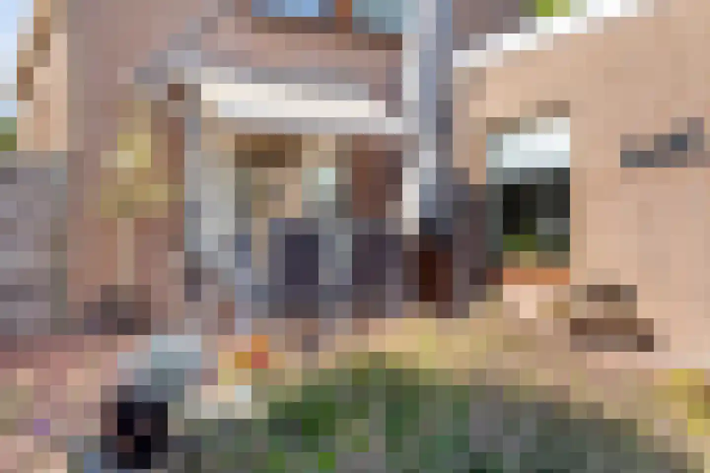 Prinses Beatrixstraat 61 Schoondijke thumbnail 28