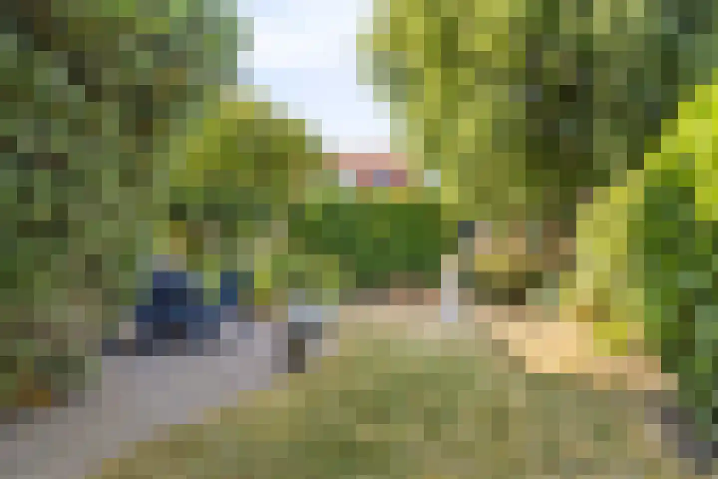 Prinses Beatrixstraat 61 Schoondijke thumbnail 34
