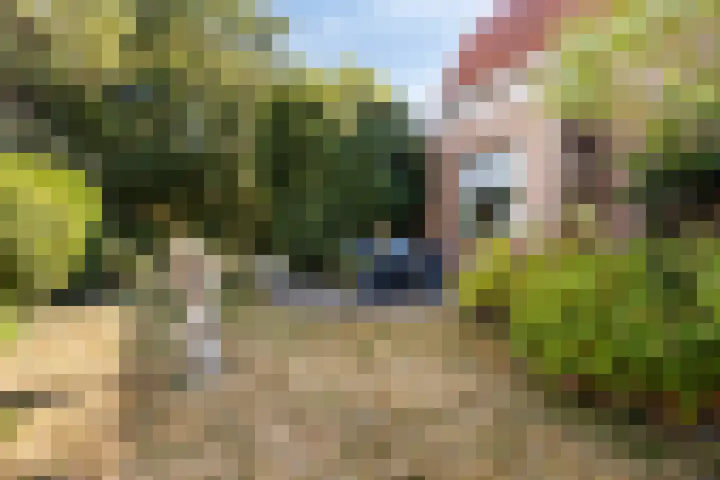 Prinses Beatrixstraat 61 Schoondijke thumbnail 35
