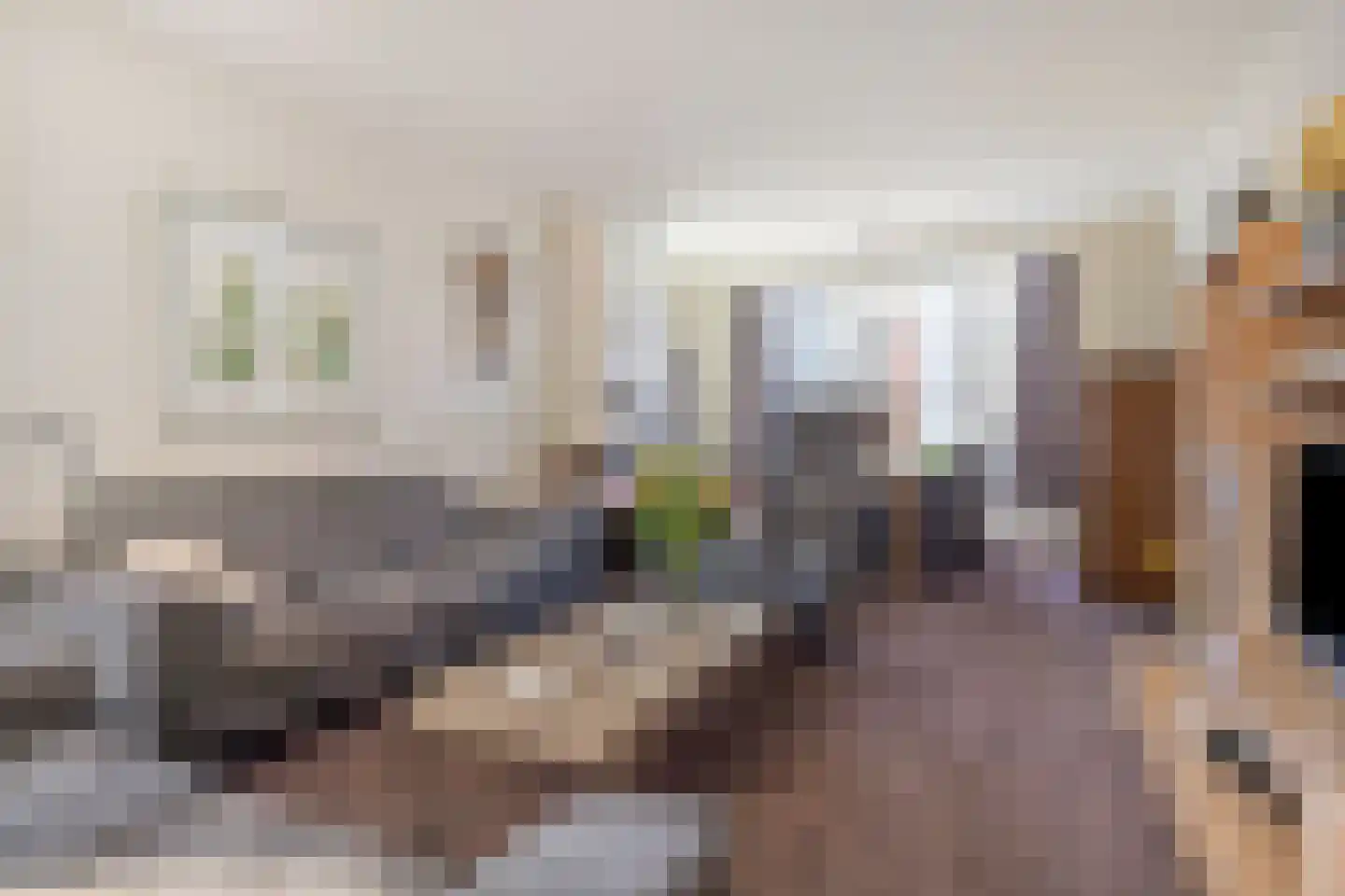 Prinses Beatrixstraat 61 Schoondijke thumbnail 8