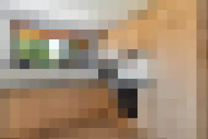 Prinses Beatrixstraat 7 Vledder thumbnail 18