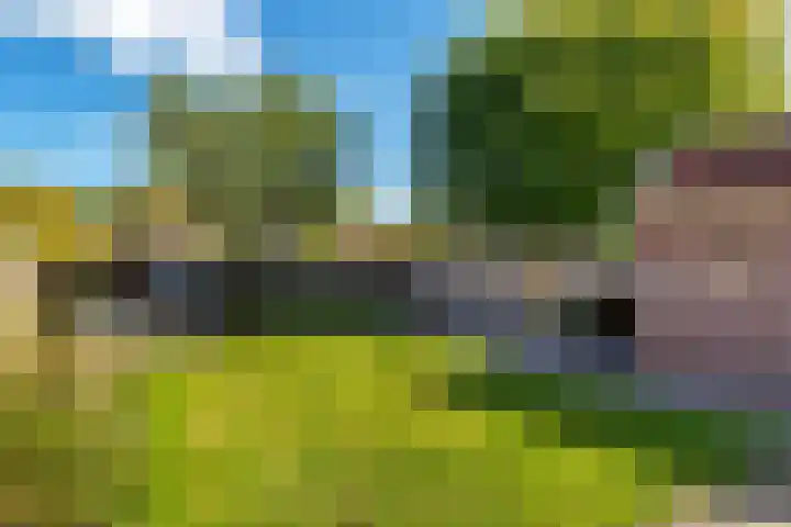 Prinses Beatrixstraat 7 Vledder thumbnail 4