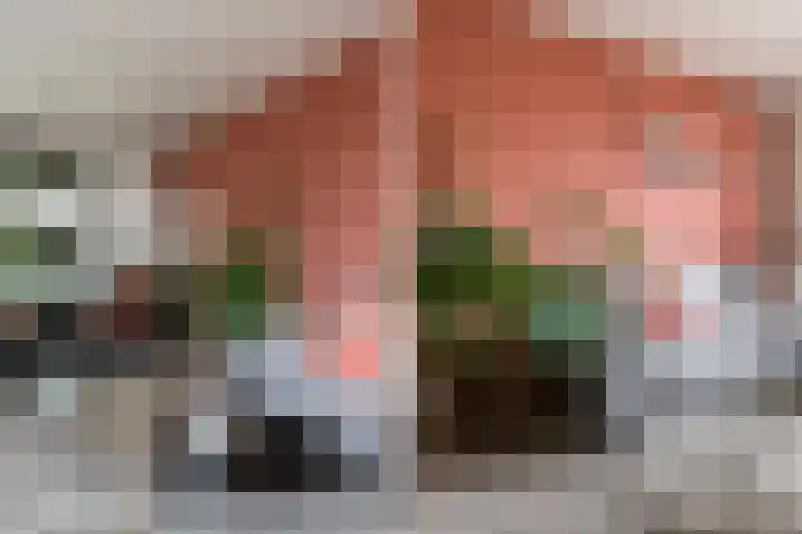 Prinses Beatrixstraat 8 Markelo thumbnail 10