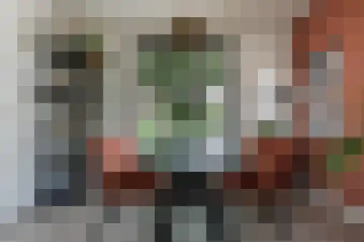 Prinses Beatrixstraat 8 Markelo thumbnail 11
