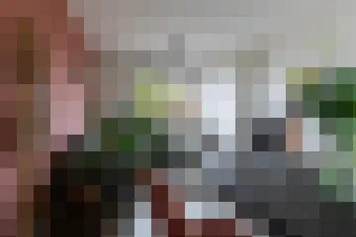 Prinses Beatrixstraat 8 Markelo thumbnail 12