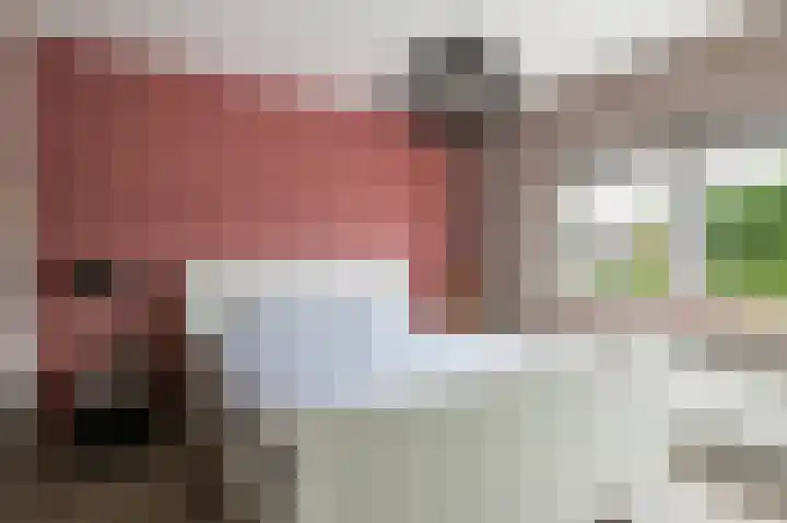 Prinses Beatrixstraat 8 Markelo thumbnail 15