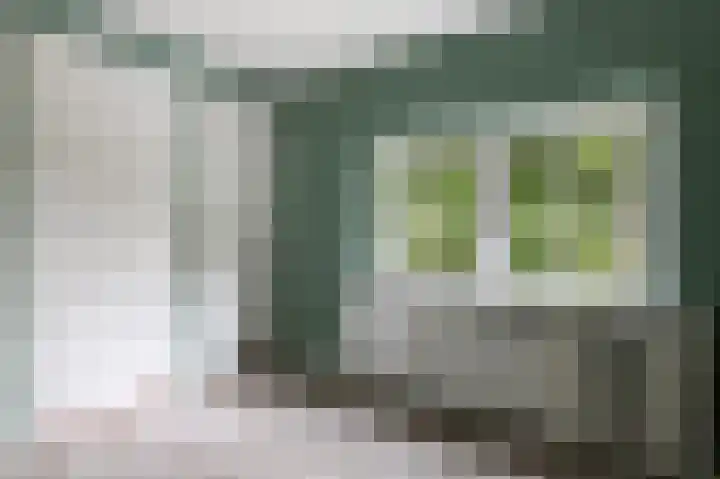 Prinses Beatrixstraat 8 Markelo thumbnail 20