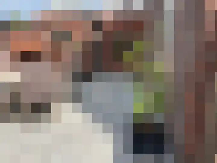 Prinses Beatrixstraat 8 Markelo thumbnail 22