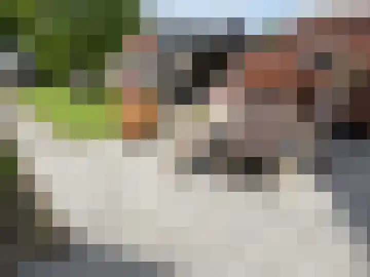 Prinses Beatrixstraat 8 Markelo thumbnail 23