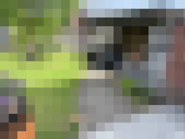 Prinses Beatrixstraat 8 Markelo thumbnail 24