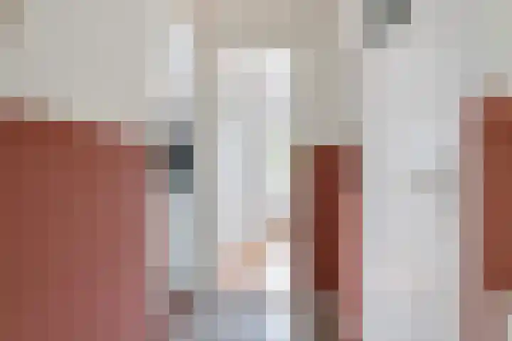 Prinses Beatrixstraat 8 Markelo thumbnail 5