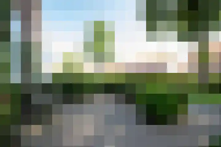 Prinses Beatrixstraat 82 Genemuiden thumbnail 10