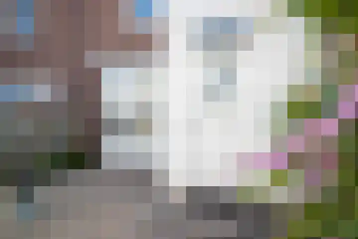 Prinses Beatrixstraat 82 Genemuiden thumbnail 27