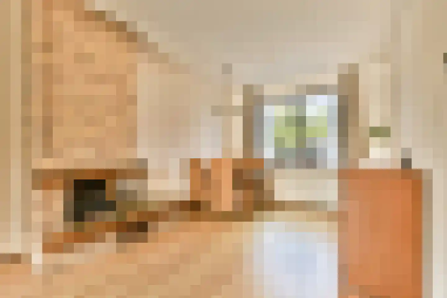 Prinses Beatrixweg 1 Loenen aan de Vecht thumbnail 4