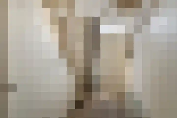 Prinses Beatrixweg 18 Geldermalsen thumbnail 14