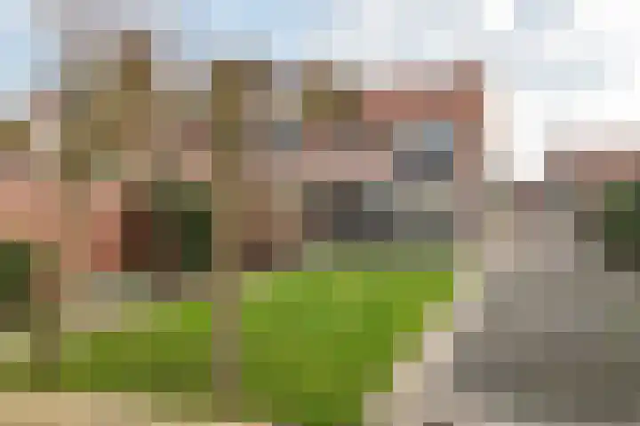 Prinses Beatrixweg 18 Geldermalsen thumbnail 31