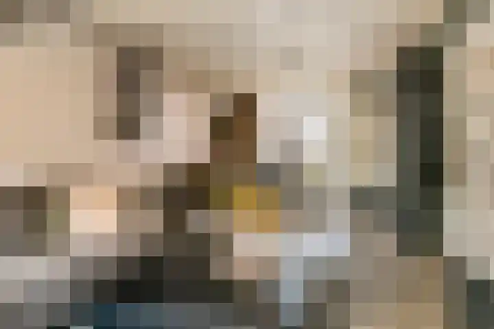 Prinses Beatrixweg 18 Geldermalsen thumbnail 6