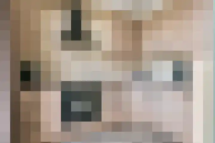 Prinses Beatrixweg 18 Geldermalsen thumbnail 9