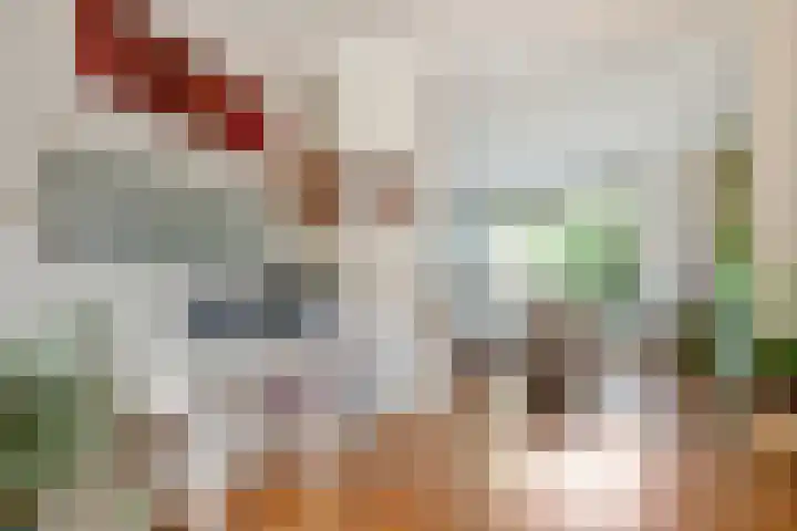 Prinses Beatrixweg 20 Geldermalsen thumbnail 8