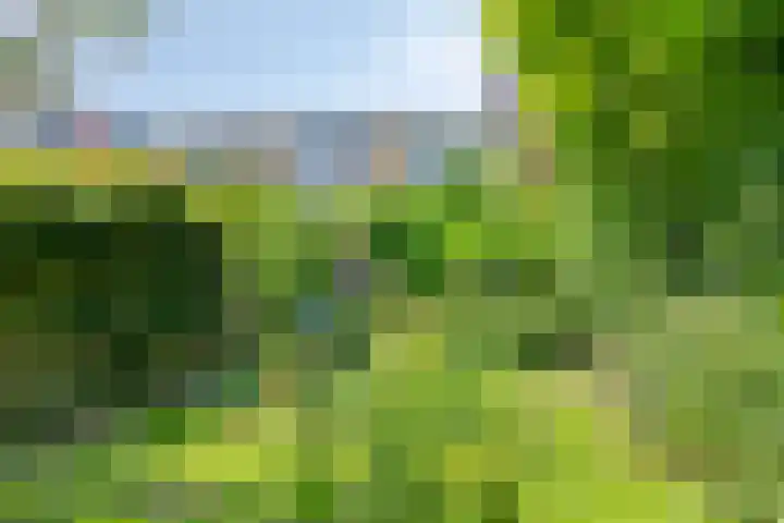 Prinses Beatrixweg 6 Schalkhaar thumbnail 30