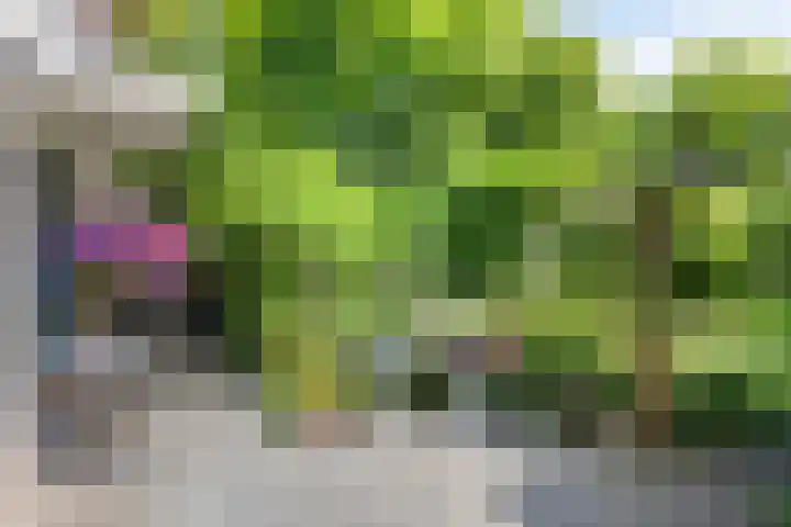Prinses Beatrixweg 6 Schalkhaar thumbnail 31