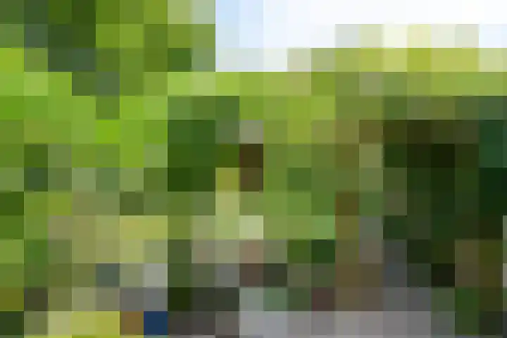 Prinses Beatrixweg 6 Schalkhaar thumbnail 32